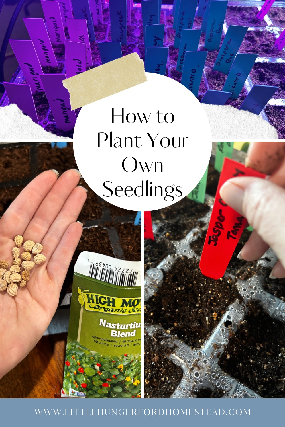 How To Plant Your Own Seedlings